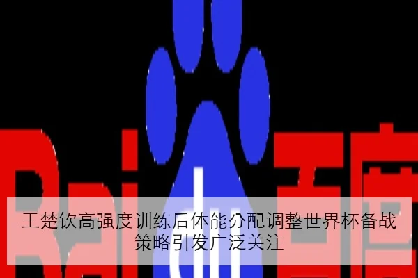 王楚钦高强度训练后体能分配调整世界杯备战策略引发广泛关注