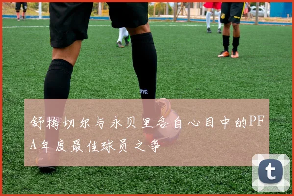 舒梅切尔与永贝里各自心目中的PFA年度最佳球员之争
